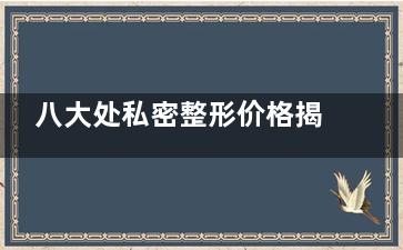 八大处私密整形价格揭晓：25年更新收费阴道紧缩术6000+|小阴唇整形15000+|处女膜修复4000+！